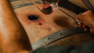 Montalcino: Backstage Brunello & Gourmet-Wein- und Essensverkostung