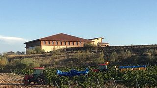 Degustazione di vini e visita alla Bodega Hacienda Molleda