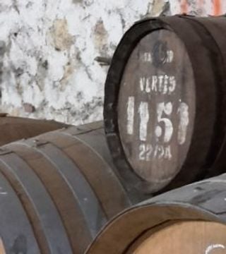 Weinprobe und Führung im Domaine Fontanel