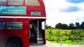 London Wine Tour to Sussex Vineyards