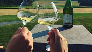 Weinprobe und Tour im Domaine De La Bougrie