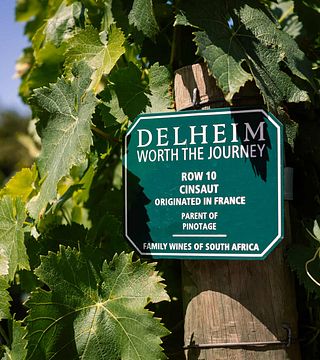 Dégustation et visite de vins à Delheim