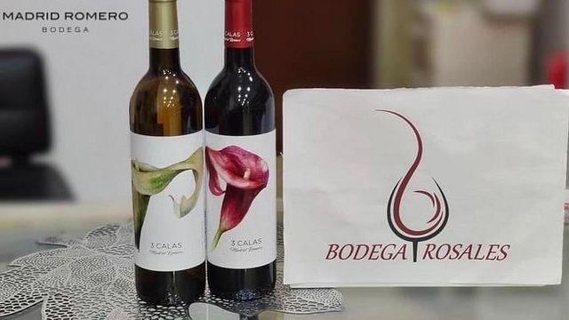 Dégustation de vins et visite des caves Bodegas Madrid Romero