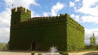 Vineyard Hike, Guided Winery, Castle Tour & Signature Tasting