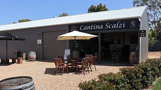 God’s Hill / Scalzi Wines