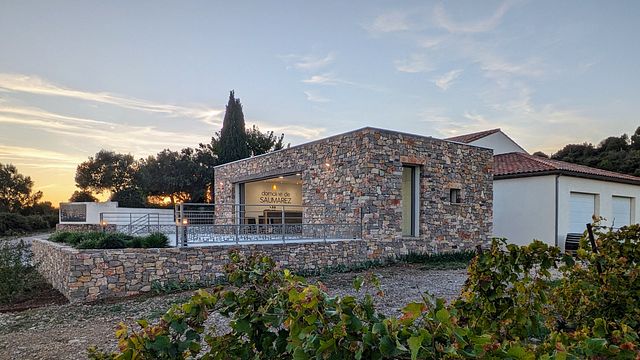 Dégustation et visite de vins au Domaine De Saumarez
