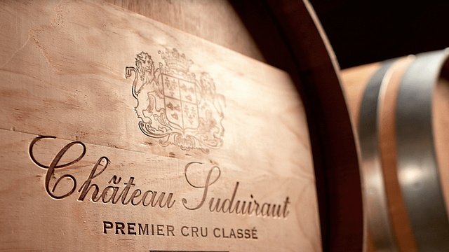 Degustazione di vini e visita allo Château Suduiraut