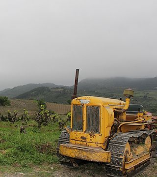 Degustazione di vini e visita al Domaine Lérys