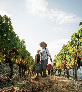 Degustazione di vini e tour a Quinta Do Panascal