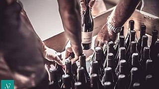 Weinprobe und Tour bei Fradiles