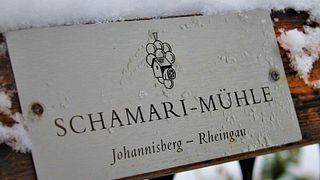 Degustação de Vinhos e Tour no Weingut Schamari Mühle