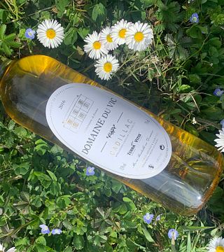 Bacchus vinprovning och rundtur på Château du Payre
