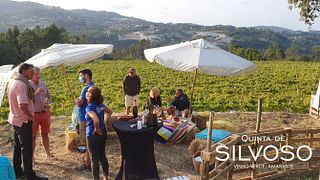 Vinprovning och rundtur på Quinta De Silvoso
