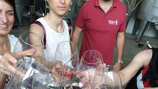 Visite guidate alla Cantina Zinzani