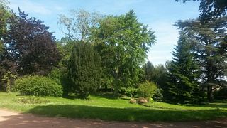 Degustazione di vini e tour allo Chateau Des Correaux