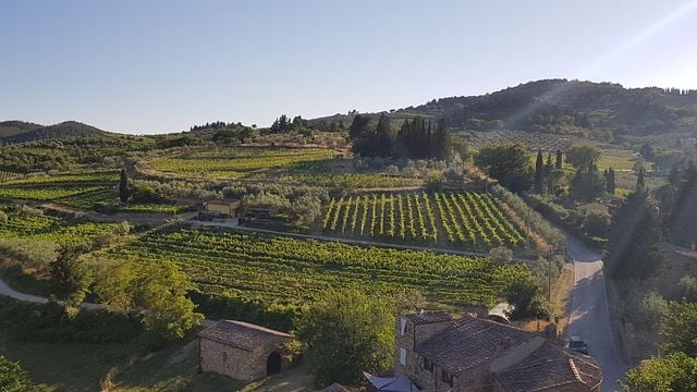 Montefioralle Winery