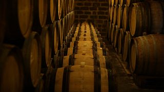 Tour de vinhos na adega | Noah de Areni