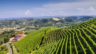 Bric Castelvej Winery