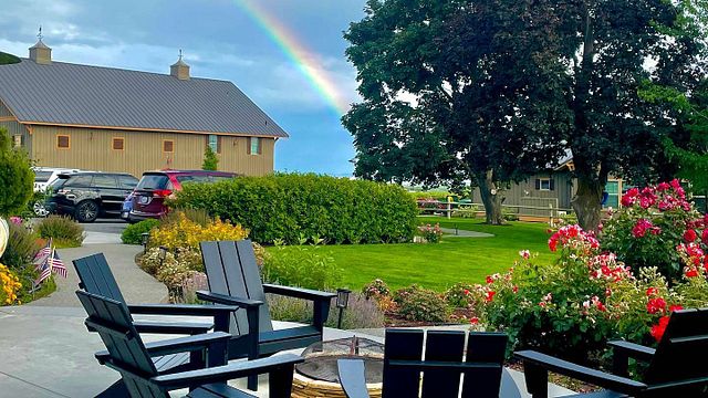 Dineen Vineyards
