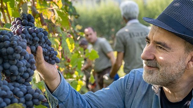 Tenuta Barac