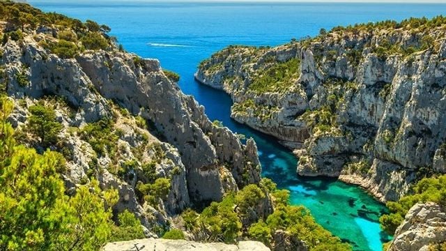 Bandol & Cassis wine tour from Marseille