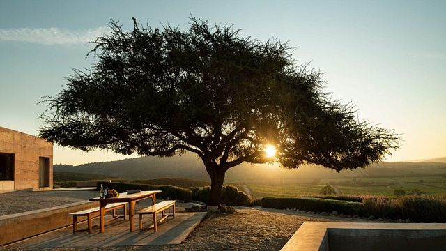 3-tägige Chile-Weintour: Besuchen Sie die Weinregionen Los Andes, Casablanca und Maipo auf einer privaten Tour