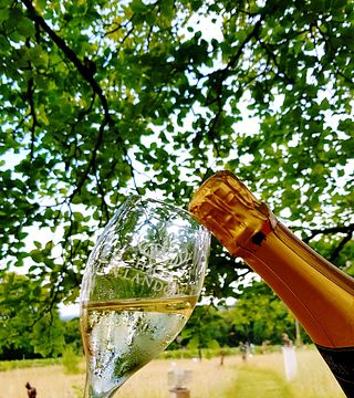 Degustazione di vini presso il vigneto High Clandon Estate