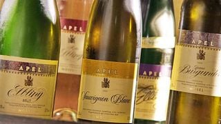 Weingut Hubertus M. Apel