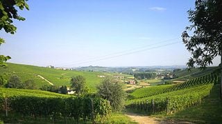 Visit the Cascina Carlot Winery Cellar