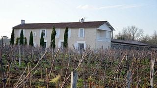 Vinprovning och rundtur på Château Les Remparts