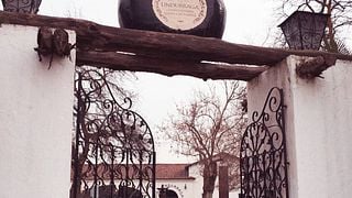 Tour di Sibarris e degustazione di vini