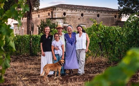 Cata y visita de vinos y aceites Evo en Tenute Pacelli
