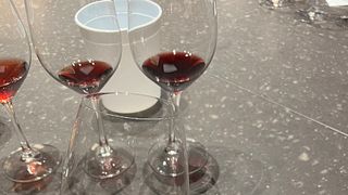Gourmet Wine Tour: 2 Wineries & Lunch 🍷