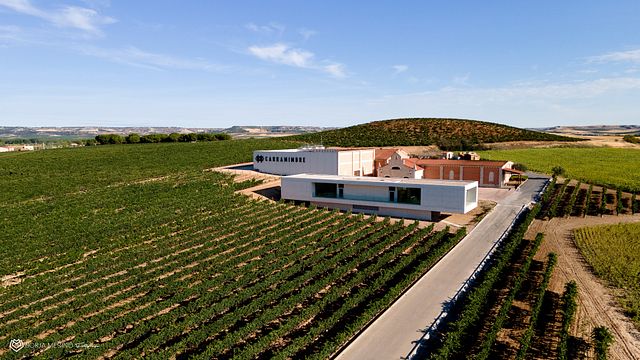 Wine Tasting at Bodegas Carramimbre