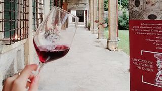 Visita e degustação de vinhos em Costalungavini