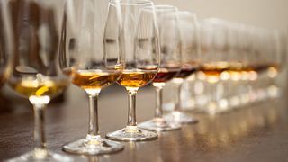 Excursion d'une journée complète autour des vins de Madère : des vignobles aux caves, vins de l'île
