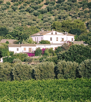 Visit the cellar at Societa Agricola Ceraudo Roberto