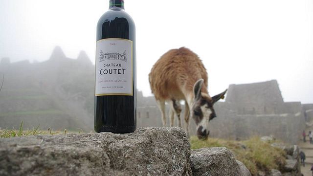 Weinprobe und Führung im Château Coutet Saint-Emilion