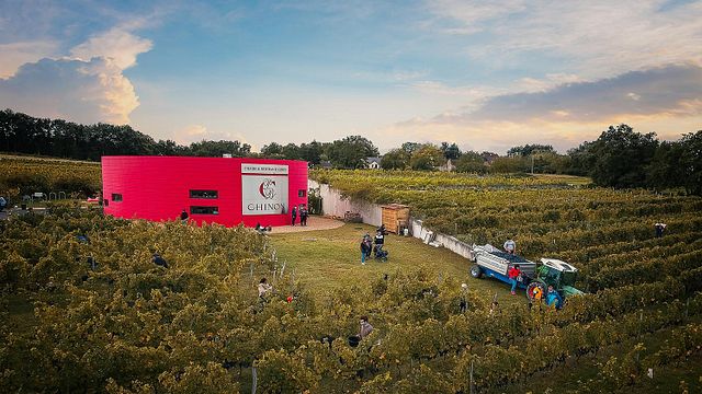 Loire Valley Winemaker Escape Adventure