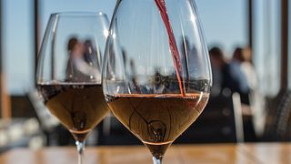 Idiom Blends Maridaje de vinos y canapés