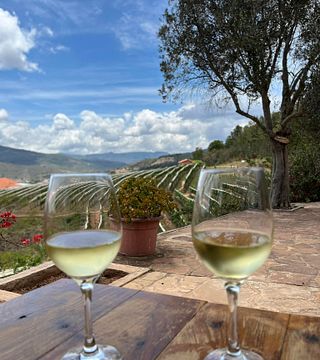 Vinos 1750 - Uvairenda: A Hidden Gem in Bolivia