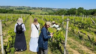 Casa Sola Wine Tasting