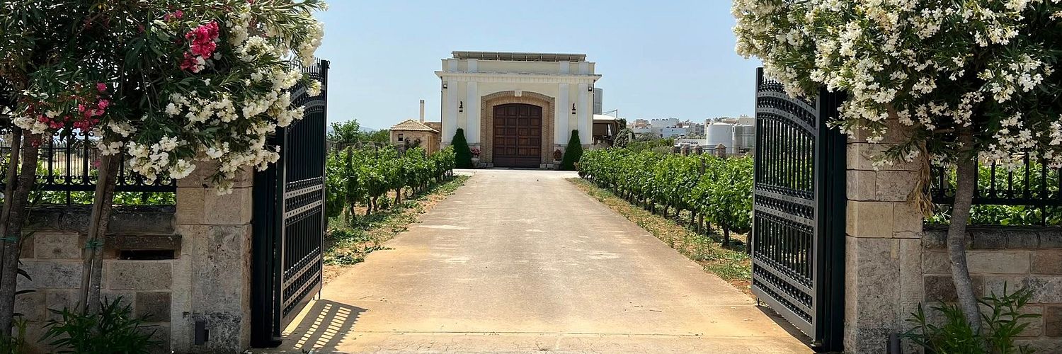 Gikas Winery 1 Wt2025