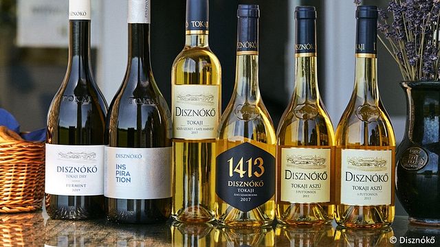 Cata de vinos y visita guiada en Diznókő
