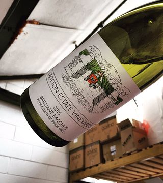 Trotton Estate Vineyards