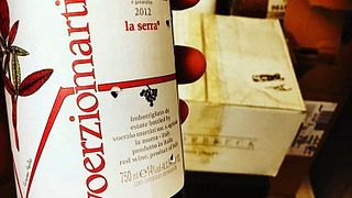 Degustação de 10 vinhos no Voerzio Martini