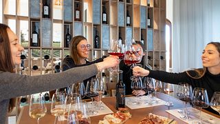 WINE AND HONEY: A SURPRISING WINE EXPERIENCE AT VIGNE DEL MALINA