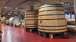 Visite des vins du Priorat pour les professionnels depuis Barcelone