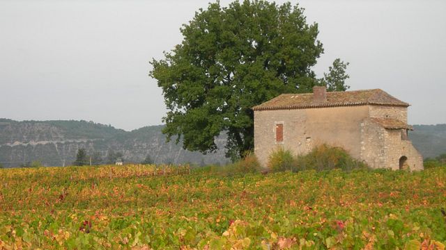 Domaine Les Roques de Cana