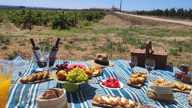Picnic en el viñedo de Quinta do Sampayo